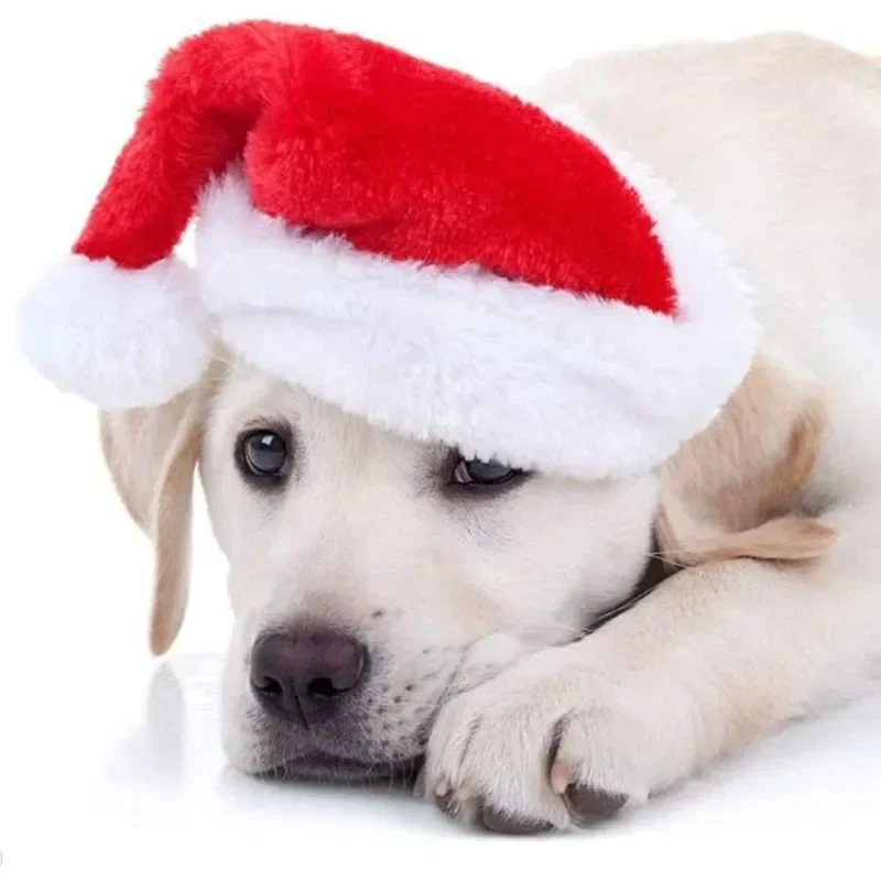 Kerst huisdier kerstmuts rode  - Santa Hat Plush recensie en prijs