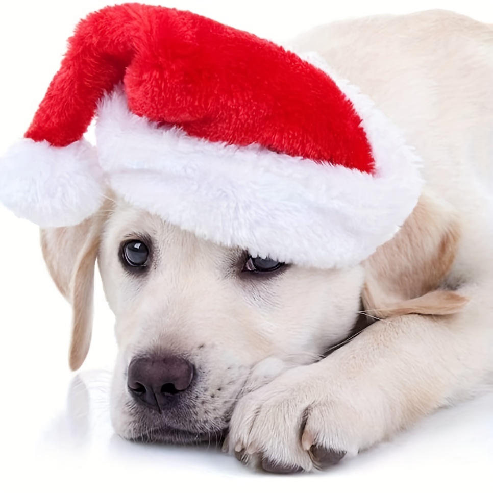 1-10 STUKS Luxe Zachte Pluche  - Santa Hat Plush recensie en prijs